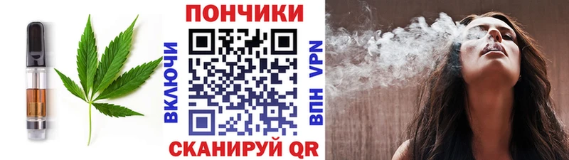 купить закладку  Малаховка  Cannafood конопля 