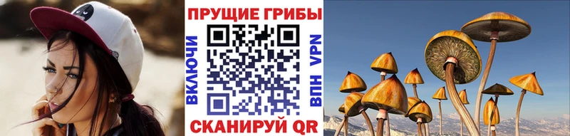 как найти закладки  Малаховка  дарк нет как зайти  Галлюциногенные грибы мухоморы 