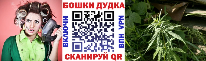 Конопля VHQ  Малаховка 